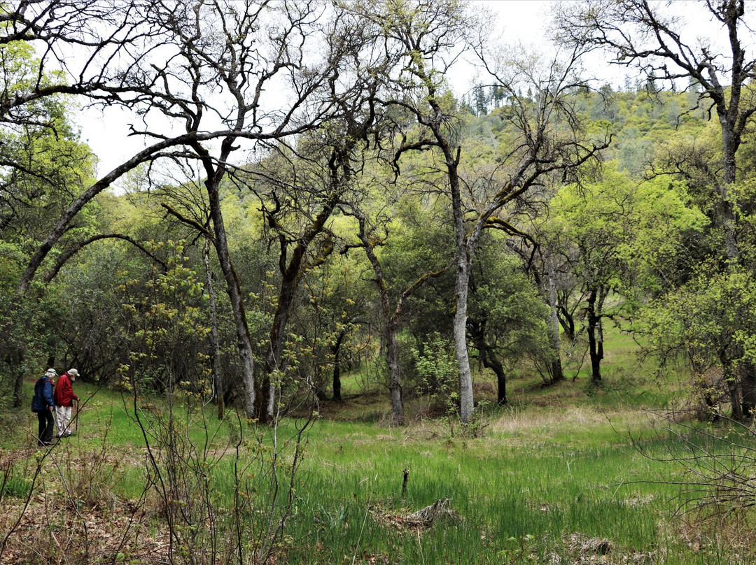 Placer Nature Center-Auburn必去景点