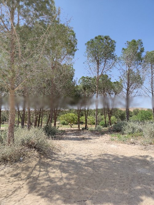 Yeruham Park and Lake-Yeruham必去景点