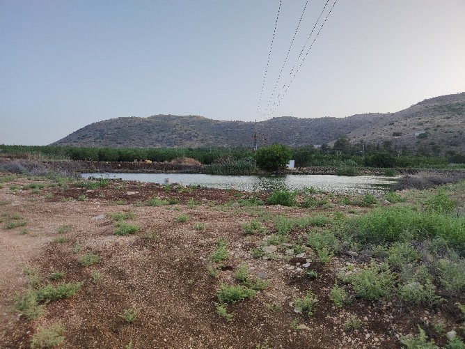 Manara Cliff-基利亚特什姆纳必去景点