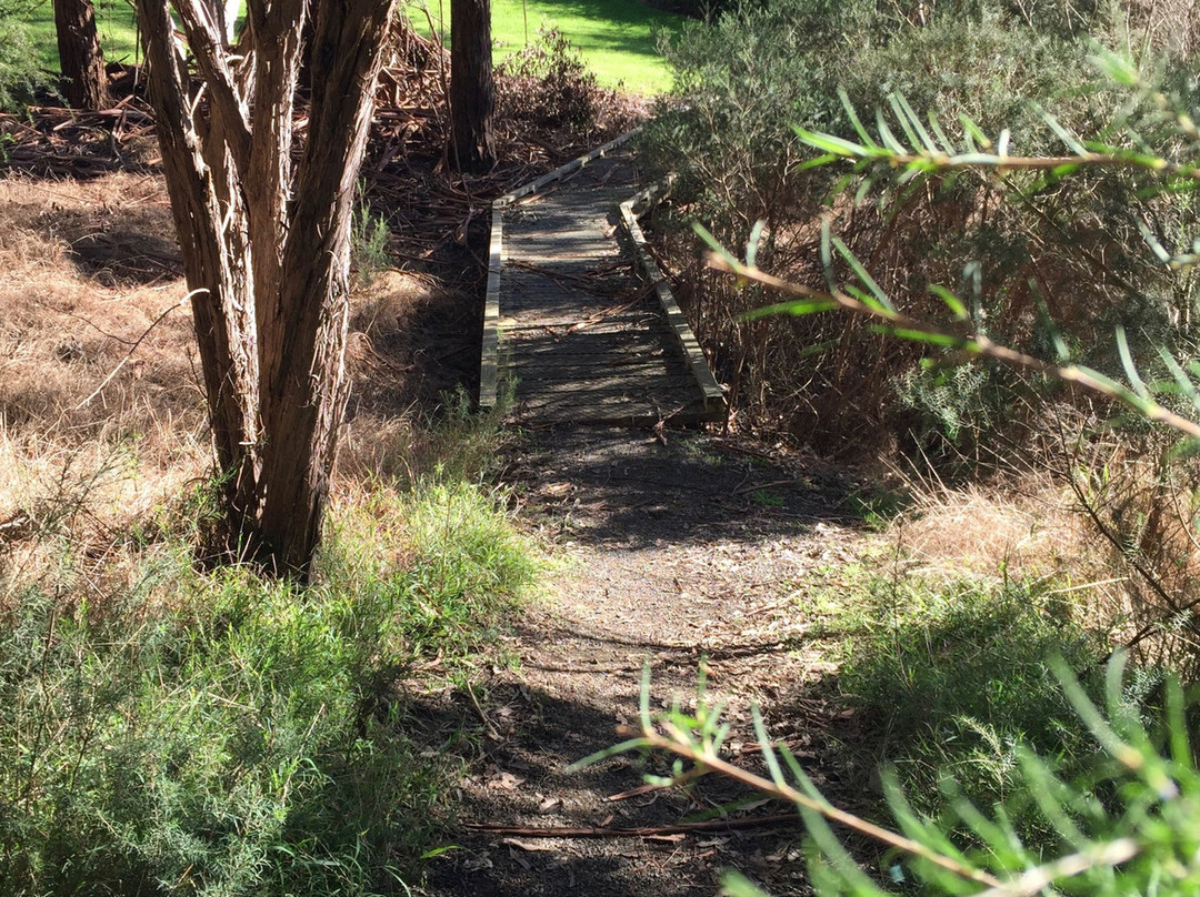 Pioneer Reserve-Kongwak必去景点