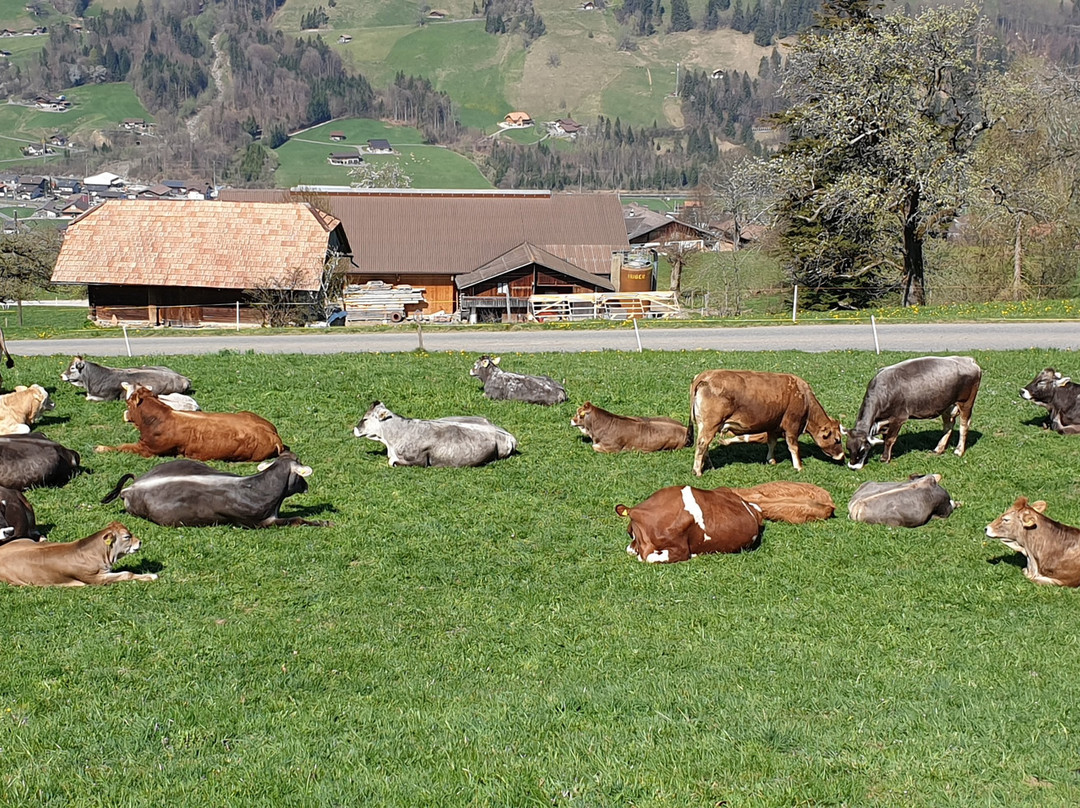 Gasthof Engelberg主图
