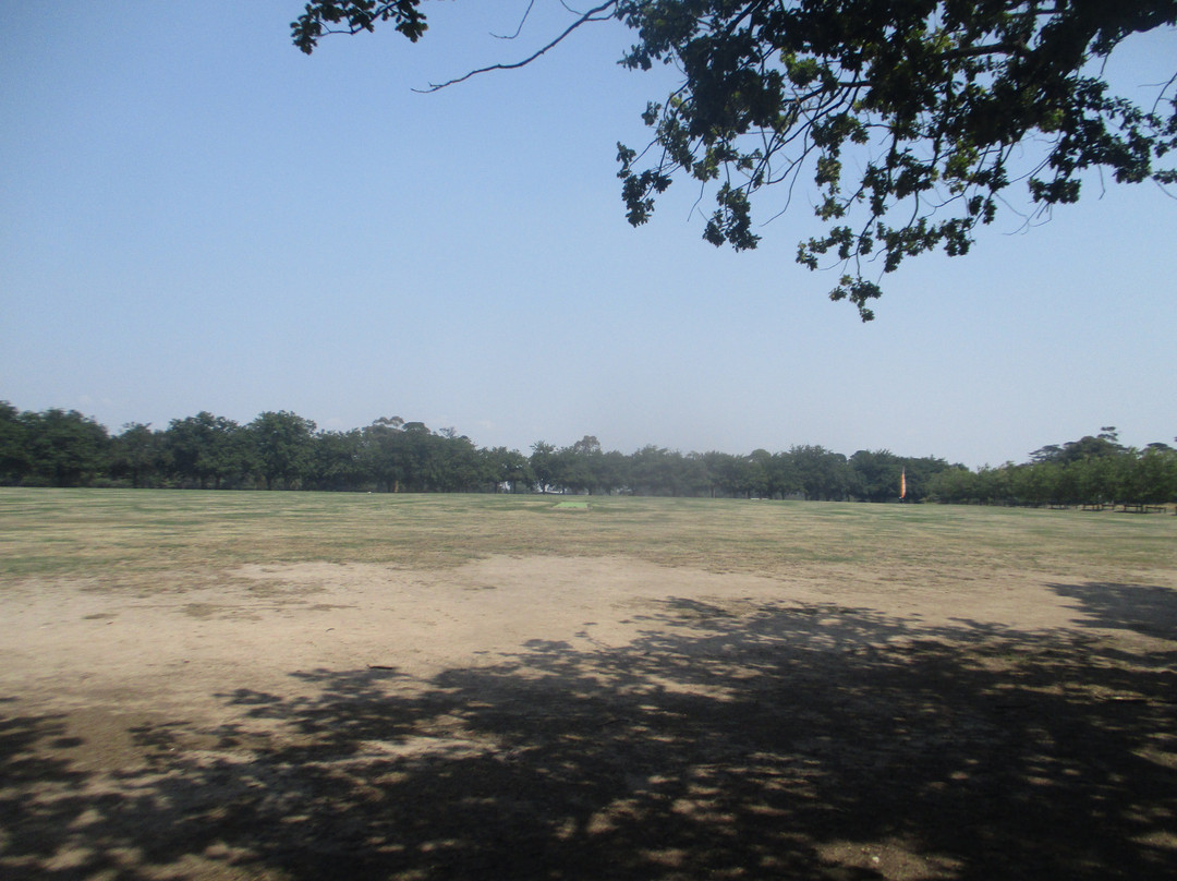 Victoria Park-巴拉瑞特必去景点