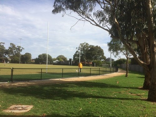 RG Chisholm Reserve-Sandringham必去景点
