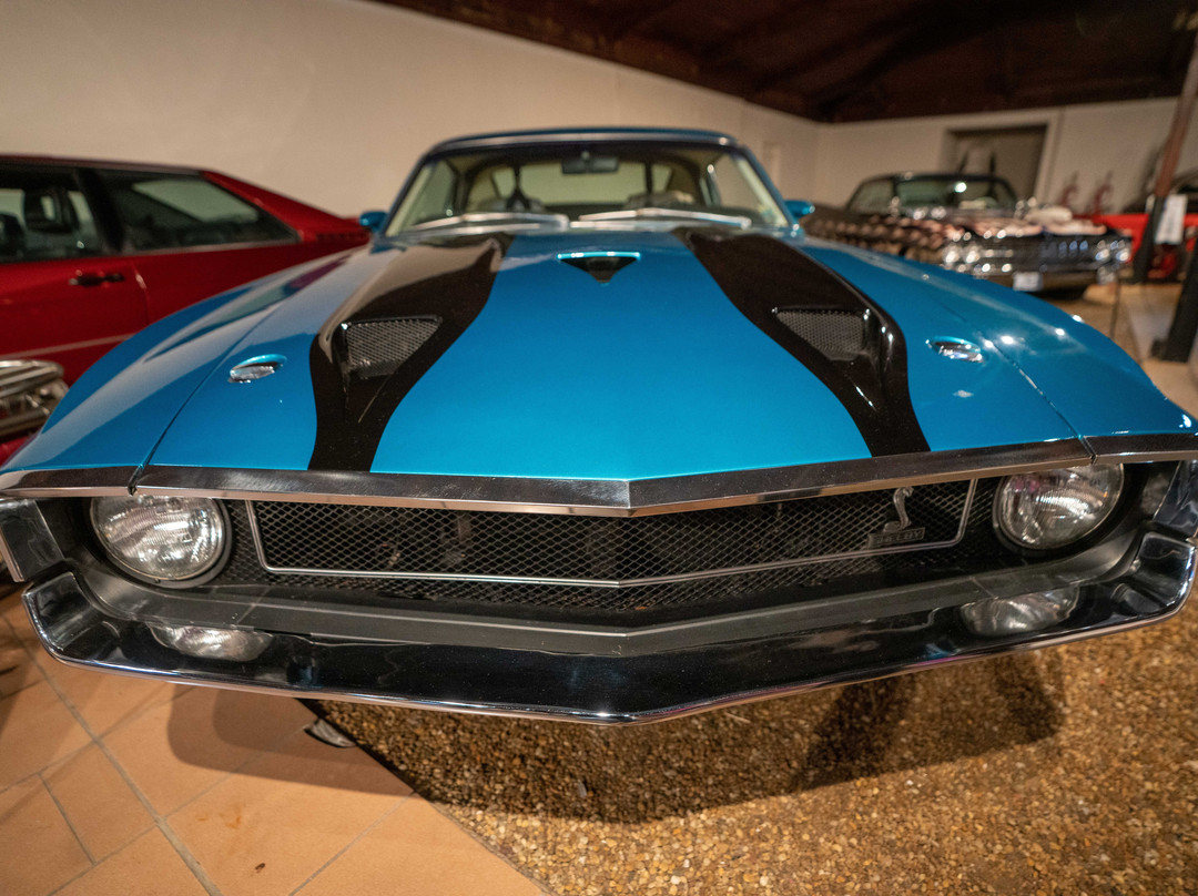 Sarasota Classic Car Museum-萨拉索塔必去景点