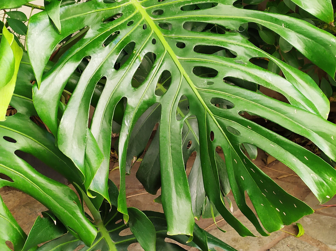 Aeonian Travel-雅典必去景点