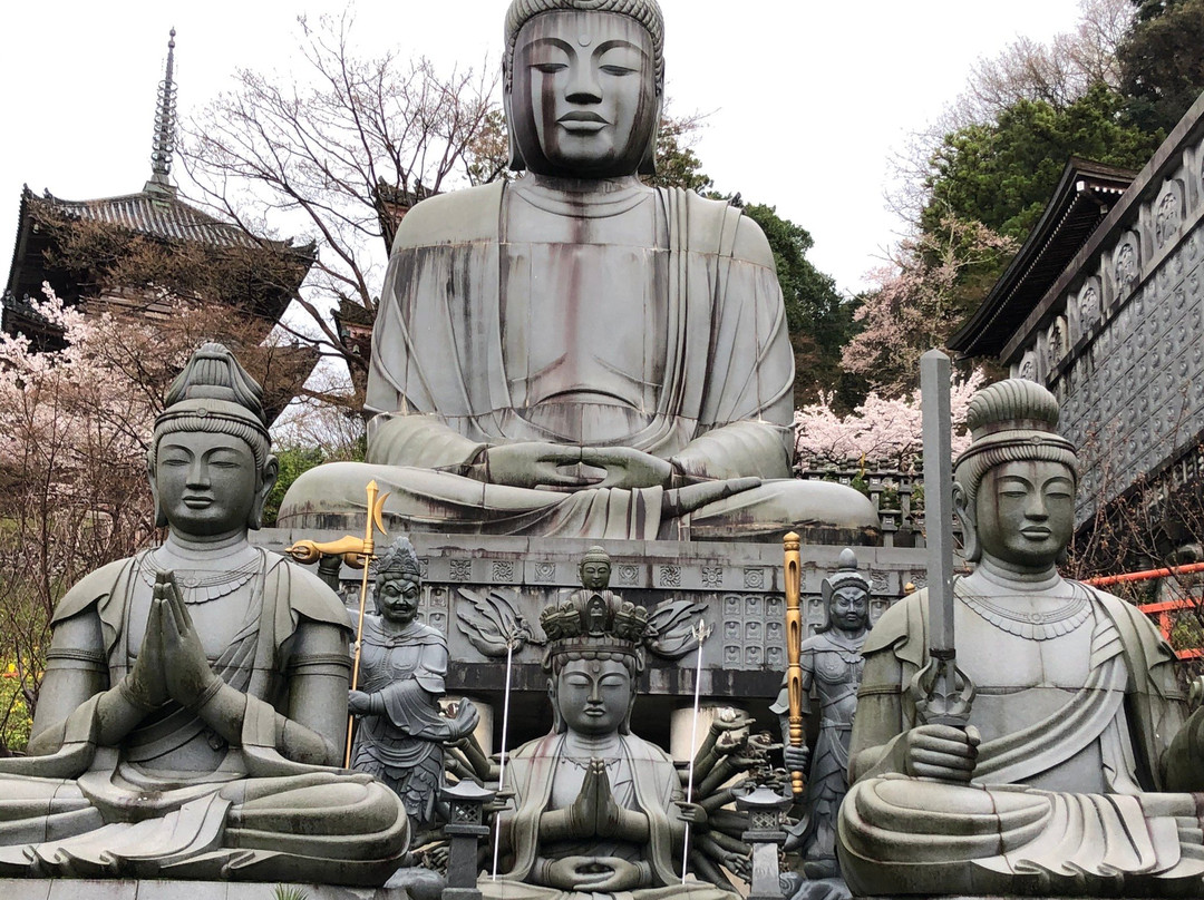 Tsubosaka Temple Dainehan Sekizo景点图片