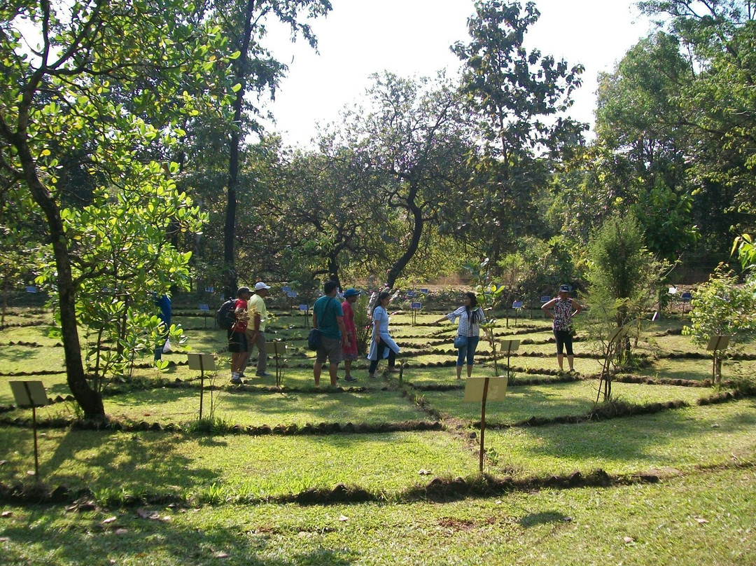 NV Eco-Farm景点图片