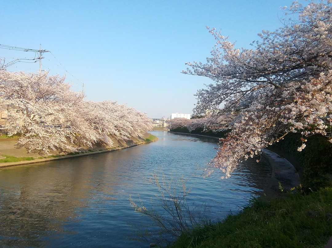 Matsubara Ayase River Park-草加市必去景点