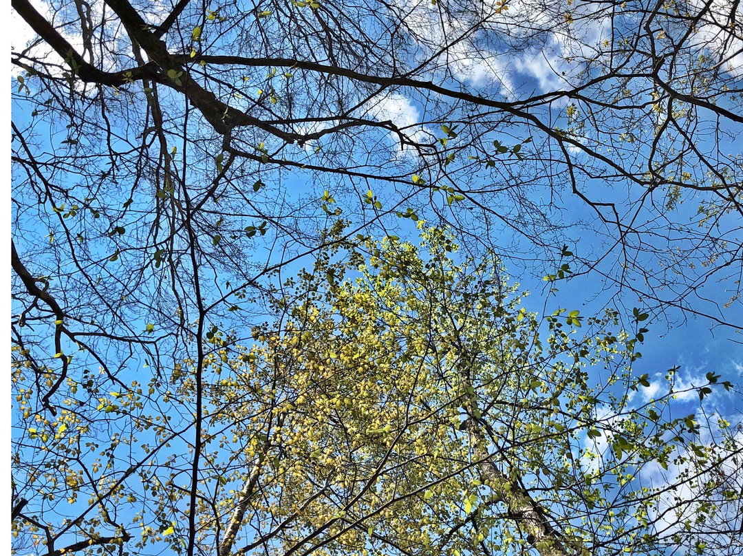 Fall Hollow Falls-Hohenwald必去景点