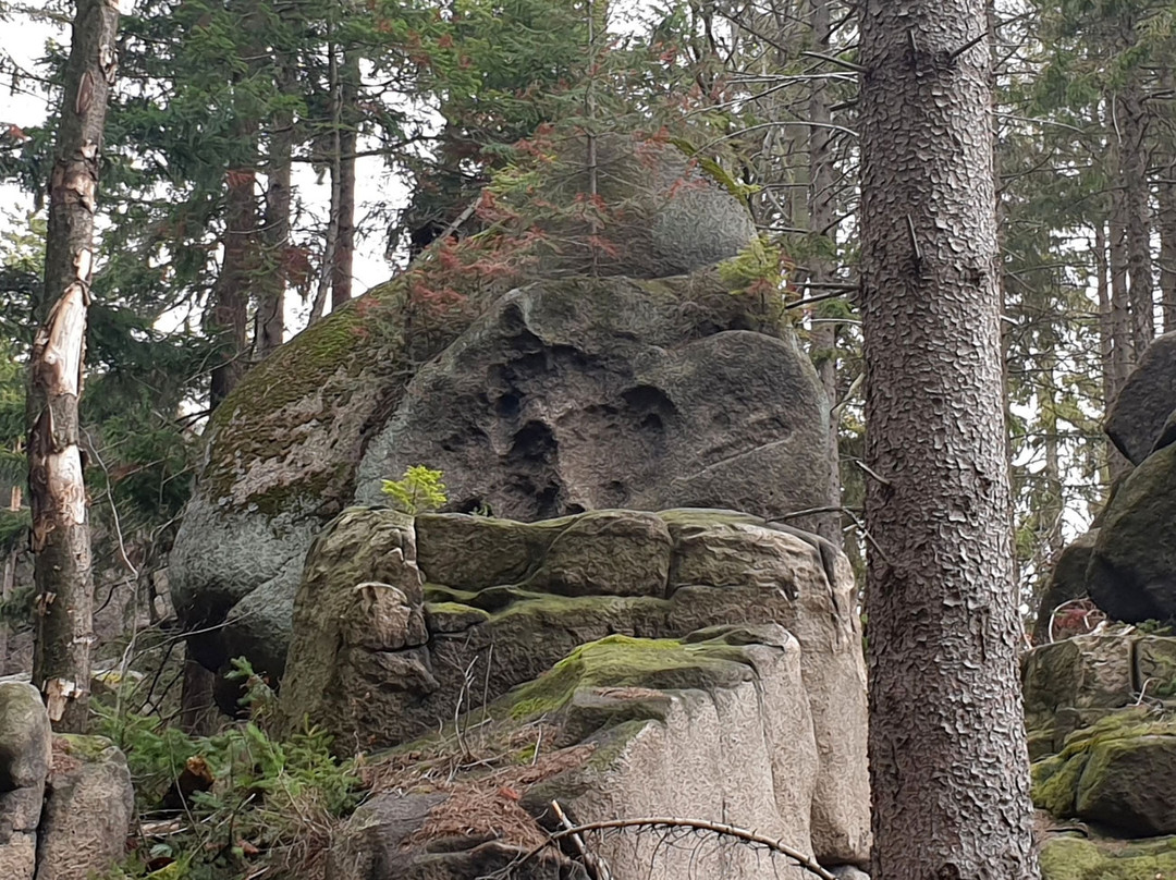Rudawski Park Krajobrazowy景点图片