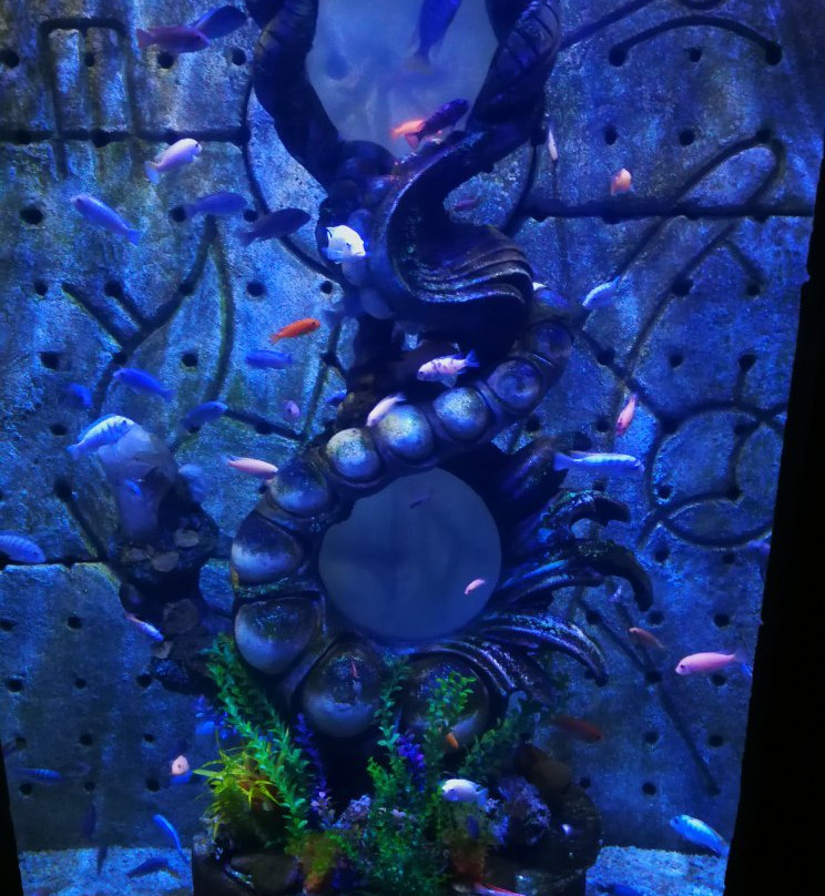 Paradise Island Beach Club主图