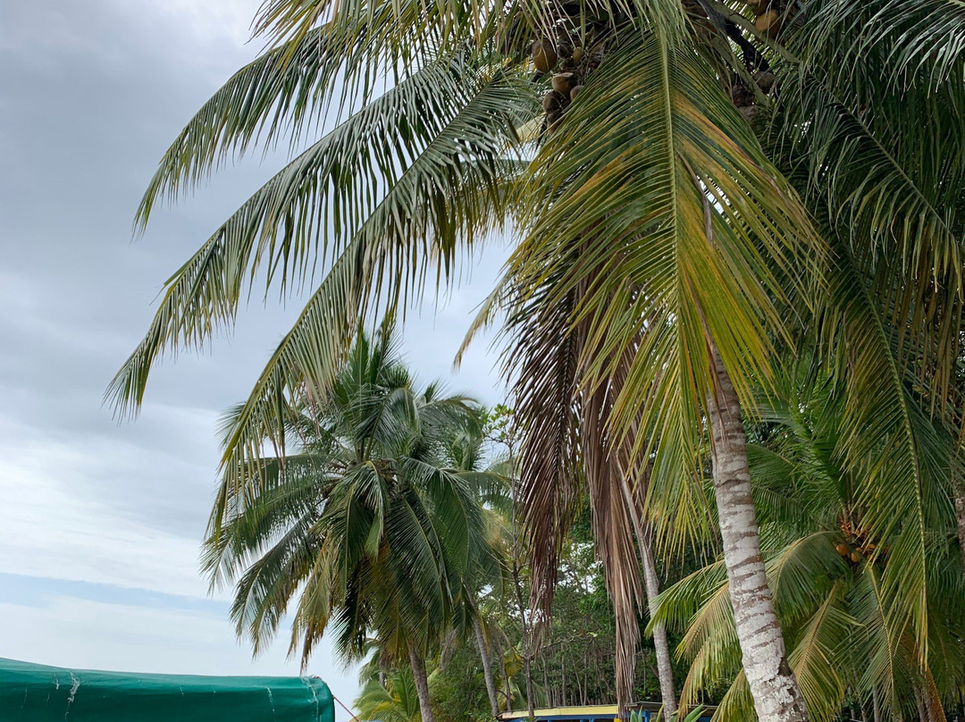 博卡德拉戈-博卡斯镇必去景点