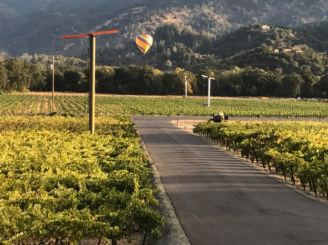 Joseph Cellars Winery-卡利斯托加必去景点