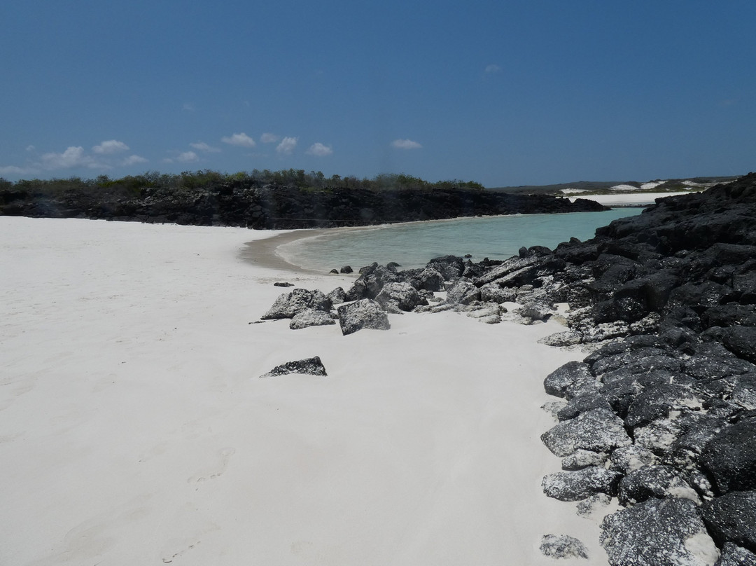 Rosa Blanca-圣克里斯托瓦尔必去景点