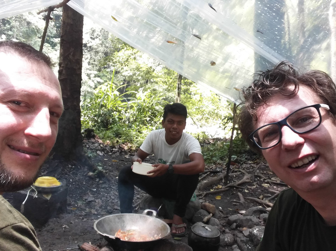 Jungle Tour With Salman-Ketambe必去景点