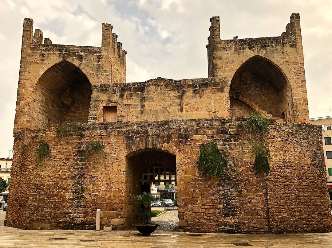 Porta del Moll景点图片