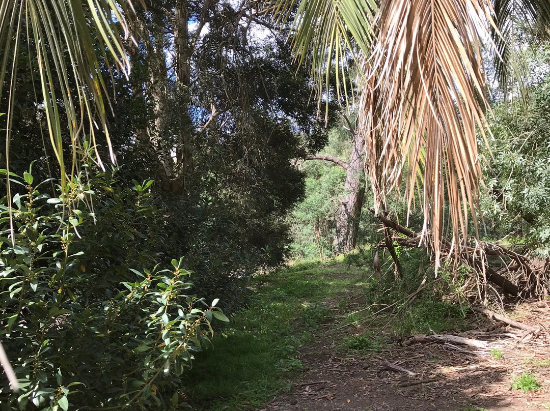 Eltham north reserve景点图片