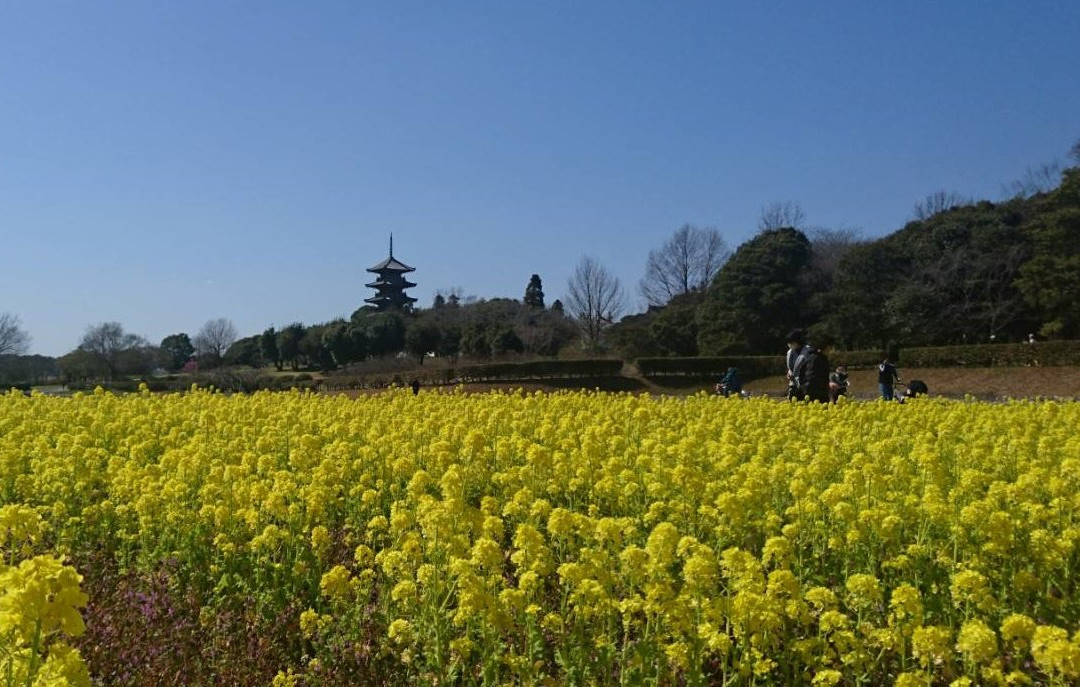 Bicchukokubunji Temple景点图片