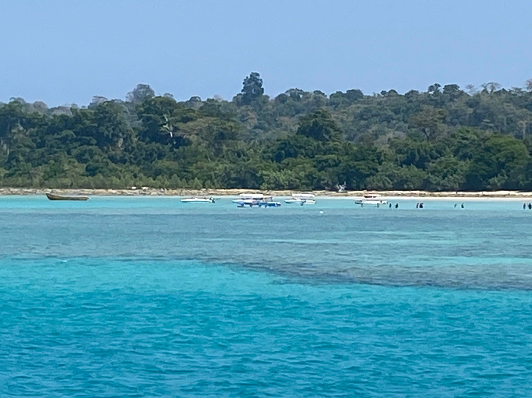 Dive India Scuba and Resorts景点图片
