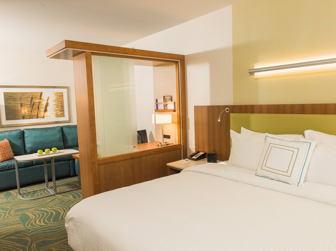 Clarence酒店住宿-布法罗机场春季山丘套房酒店