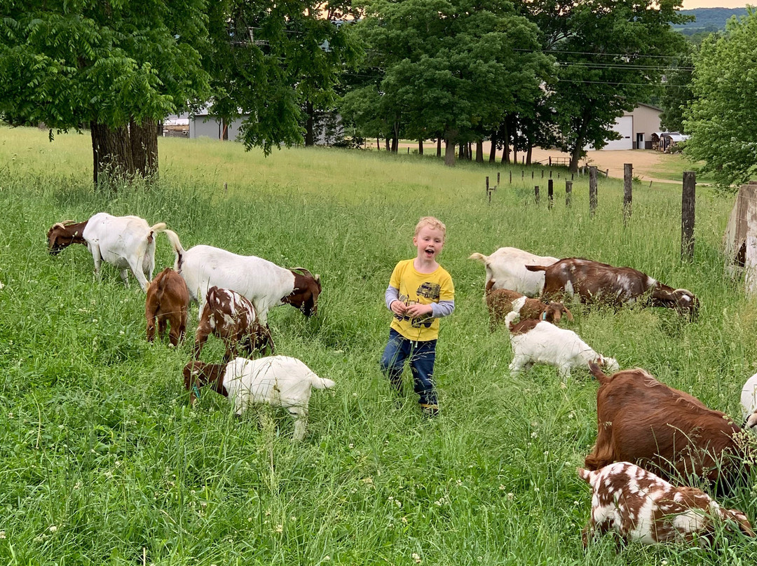 The Country Experience主图