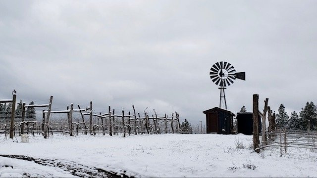 Martin's Gorge Tours-Stevenson必去景点