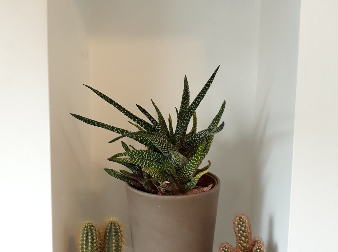 Morning Calm B&B主图