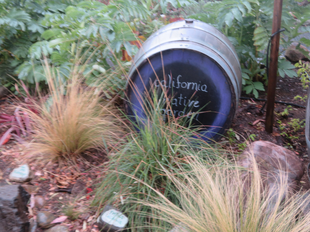 Rodrigue Molyneaux Estate Winery & Vineyard-利佛摩必去景点