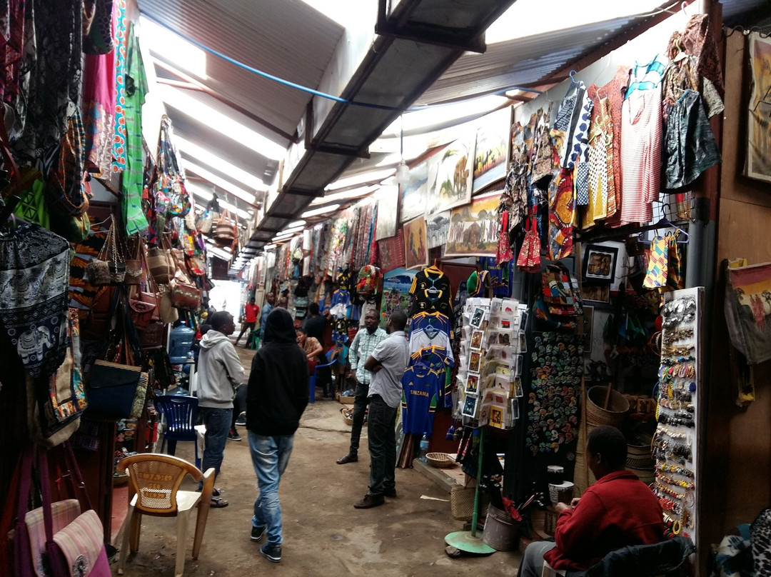 Hakuna Matata Expeditions-阿鲁沙必去景点