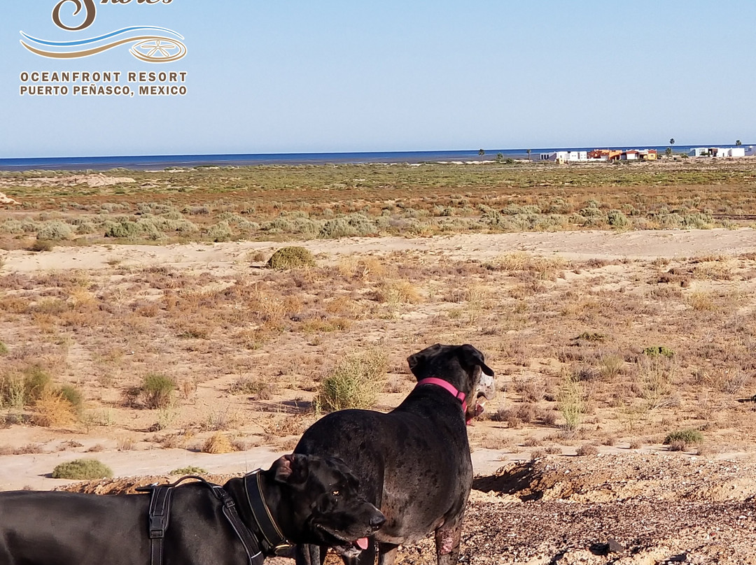 Laguna Shores Resort主图