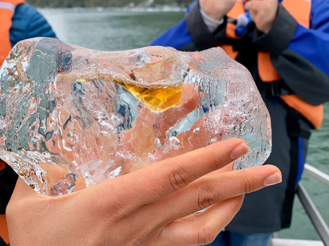 Parque Nacional Laguna San Rafael-Puerto Rio Tranquilo必去景点