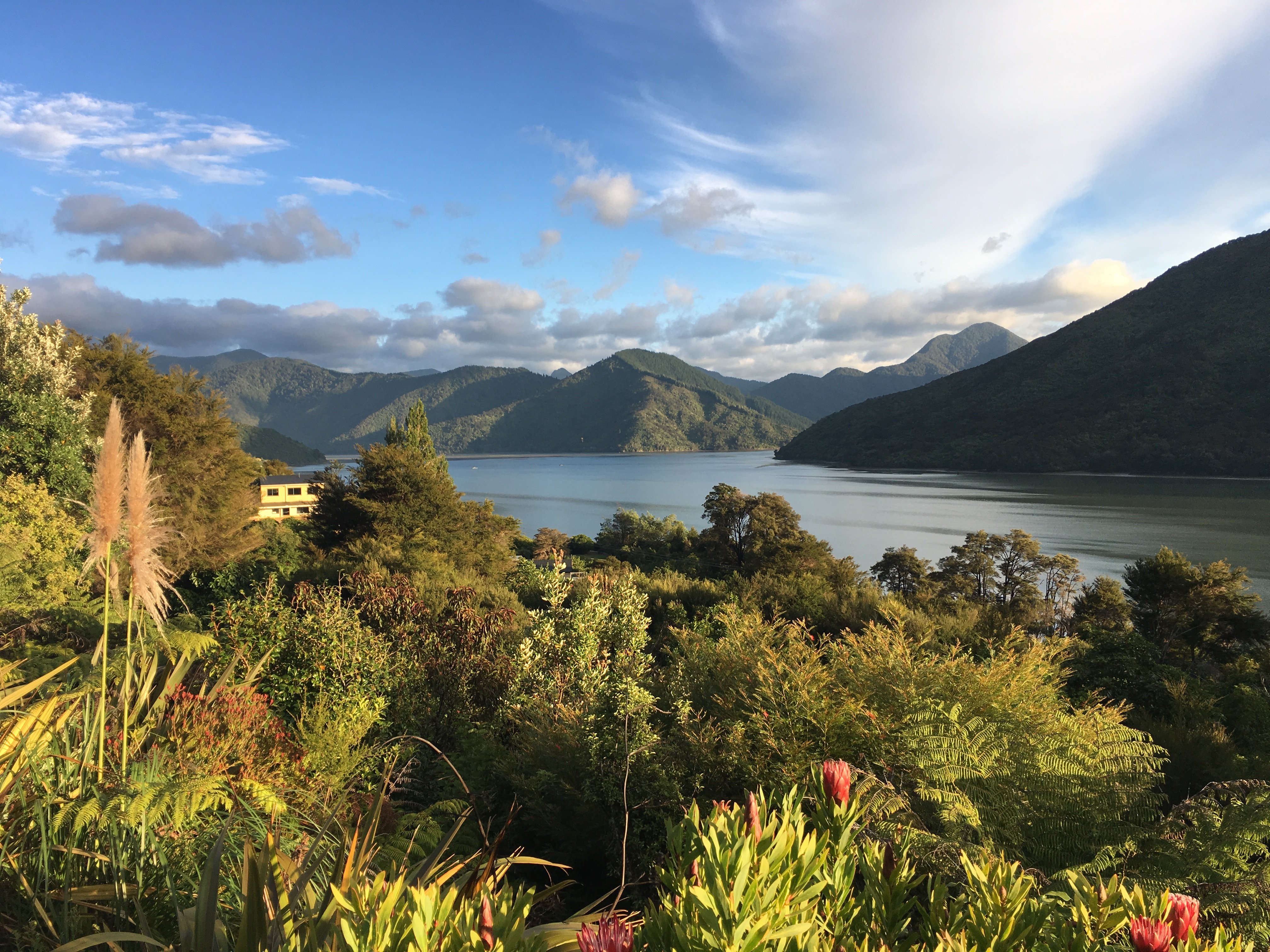Moana Haven B&B-浴室
