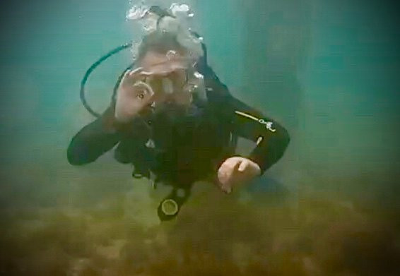 Diving Adelaide-Glandore必去景点