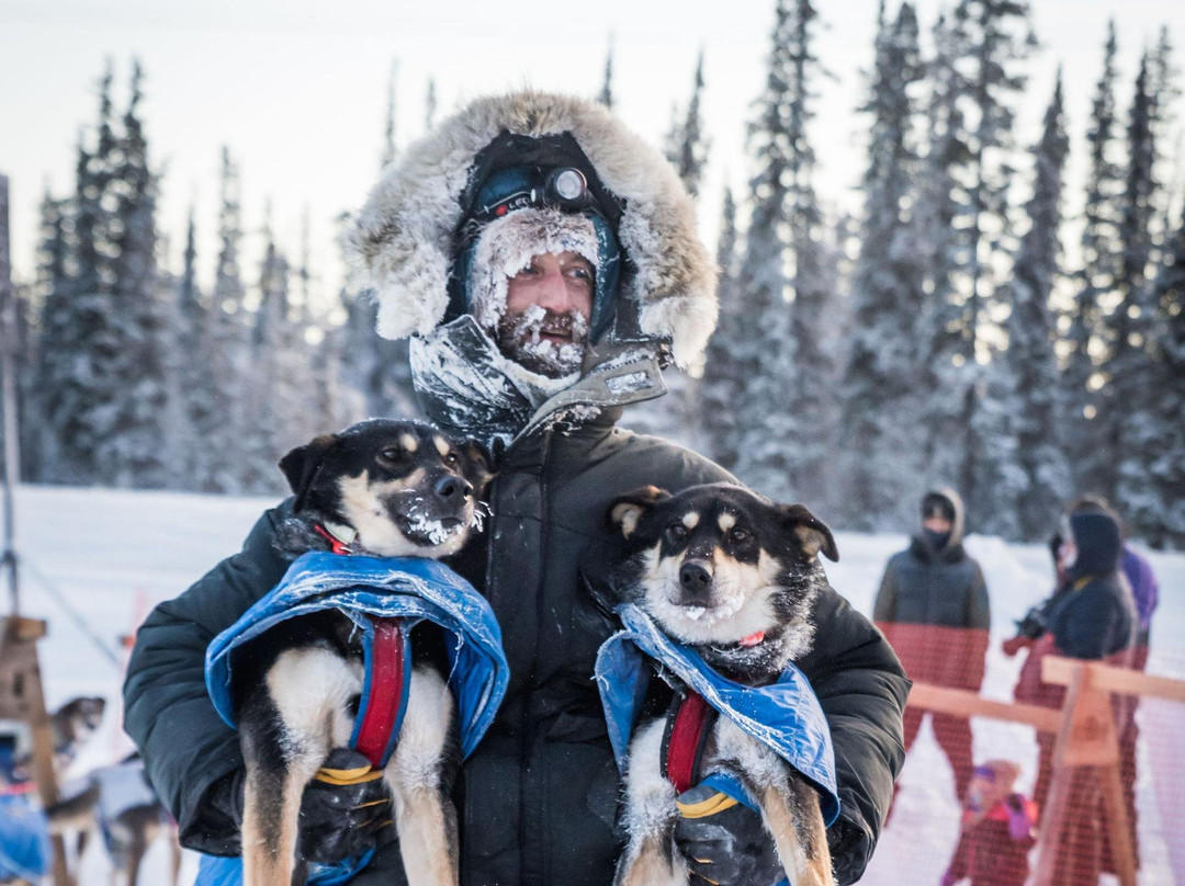 The Alaska Dogstead Mushing Company景点图片