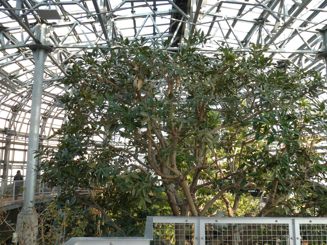 Kushiro Fisherman 's Wharf EGG-钏路市必去景点