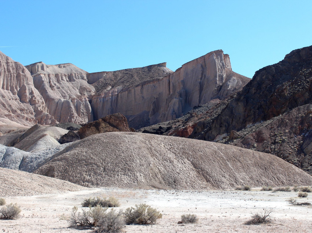 China Ranch Date Farm-Tecopa必去景点