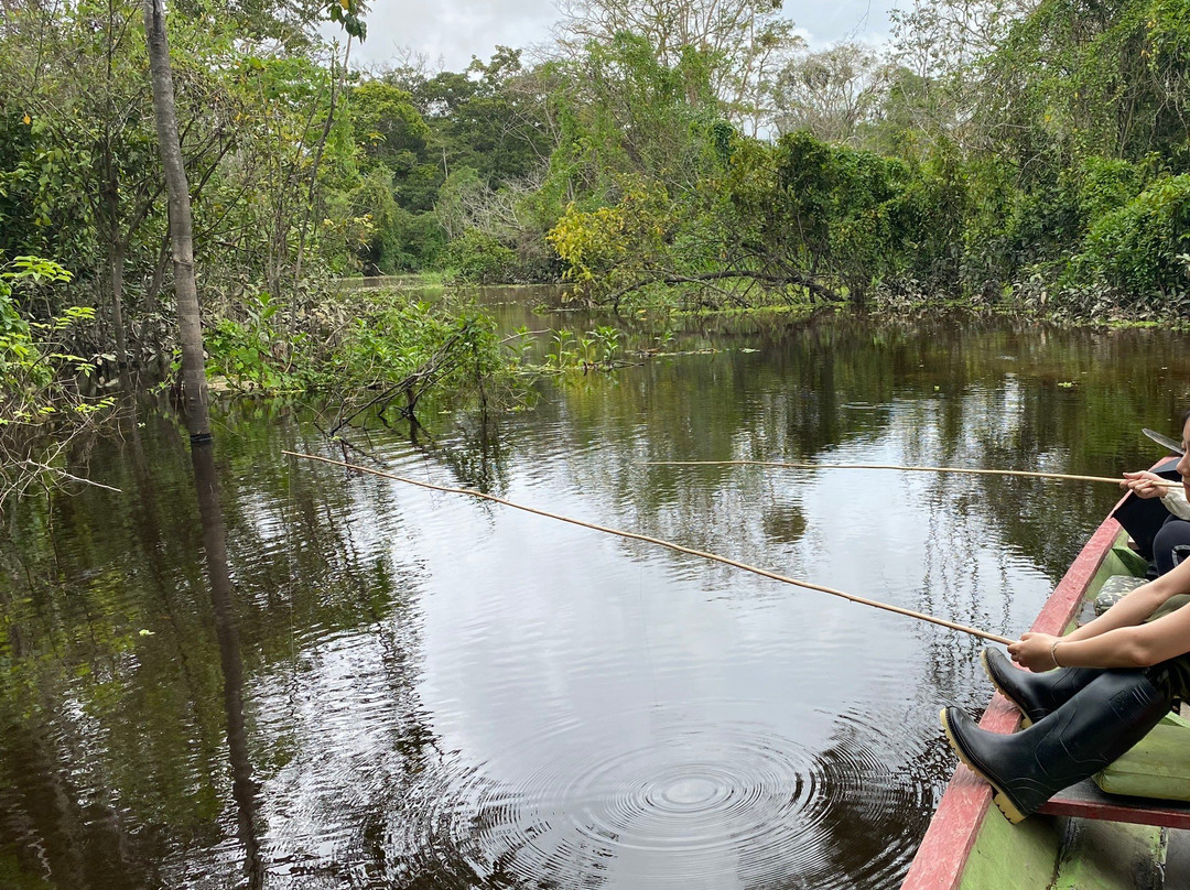 Amazon Jungle Survival Tours-伊基托斯必去景点