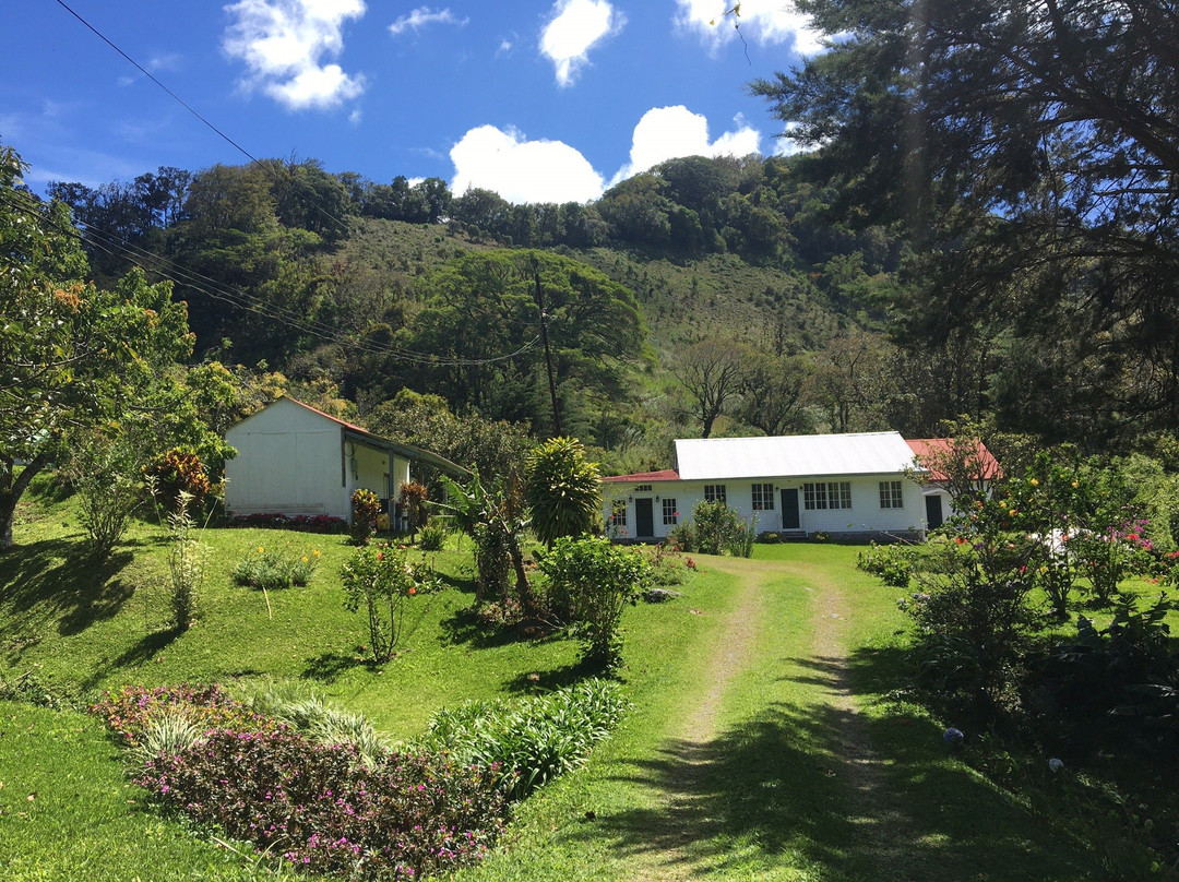 Boquete Valley Ruiz Coffee Shop-波魁特必去景点
