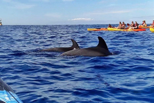 Adventoure & Experiences-洛斯克里斯蒂亚诺斯必去景点