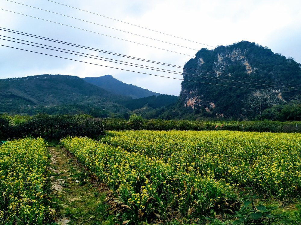 英西峰林走廊-英德市必去景点