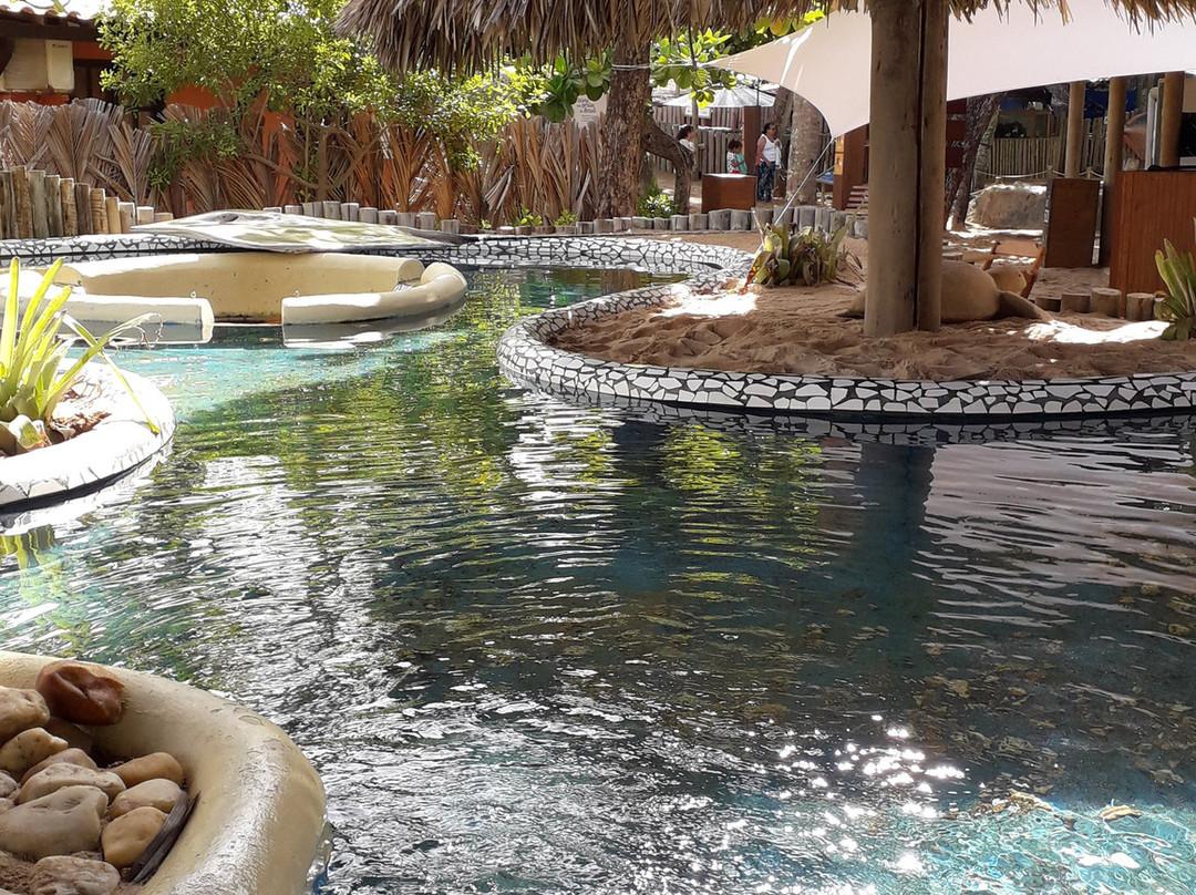 Projeto Tamar-Arembepe必去景点