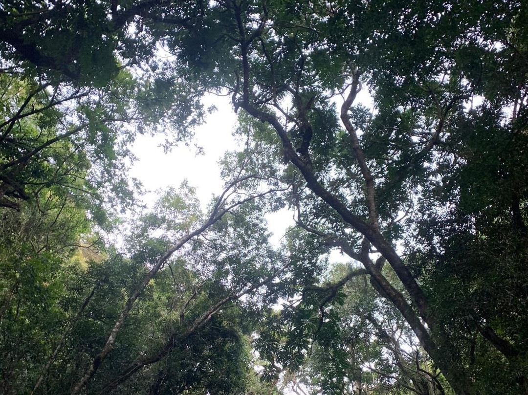 Cascata do Mezzomo-Silveira Martins必去景点