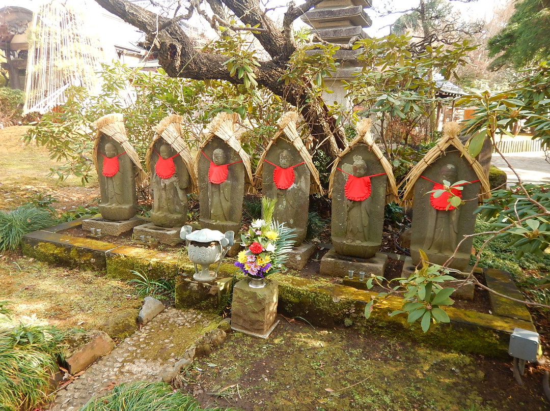 Kozo-ji Temple景点图片