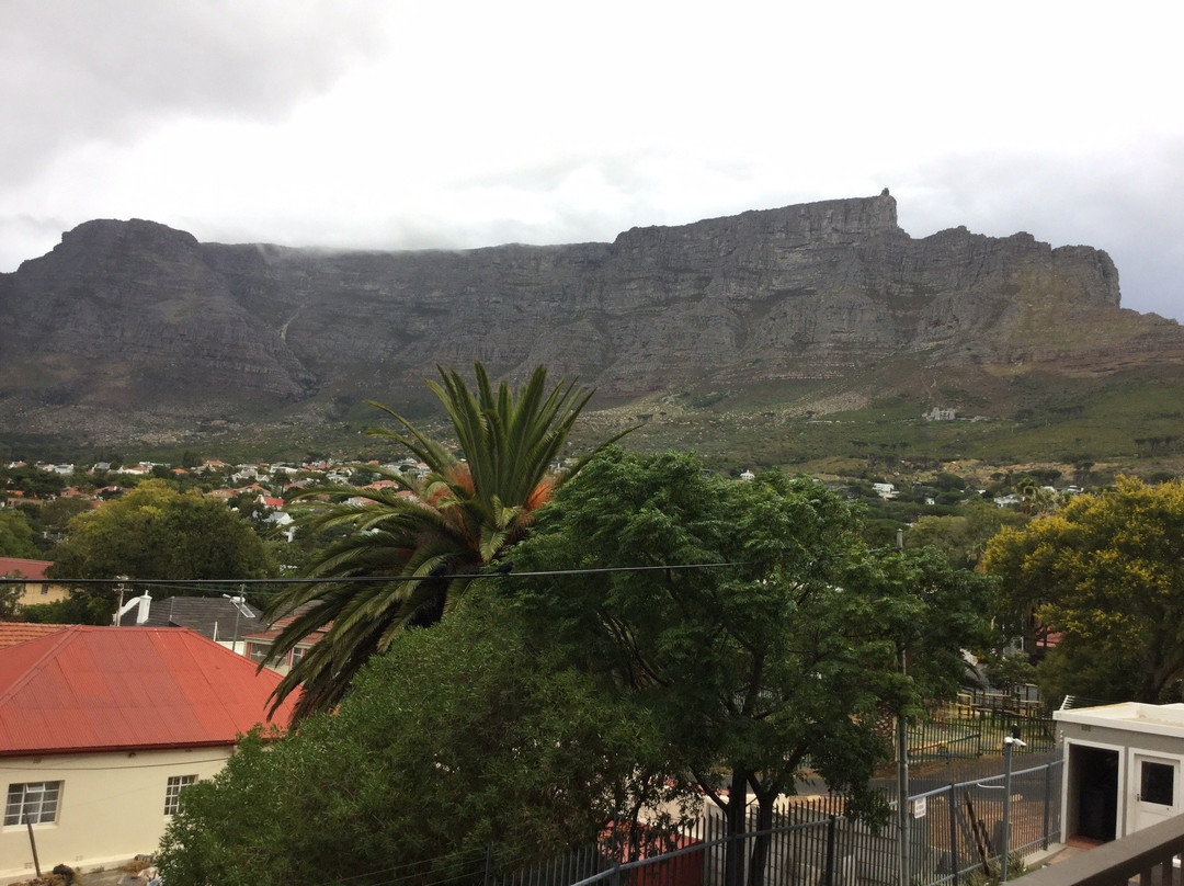 Daytrippers-开普敦中心区必去景点