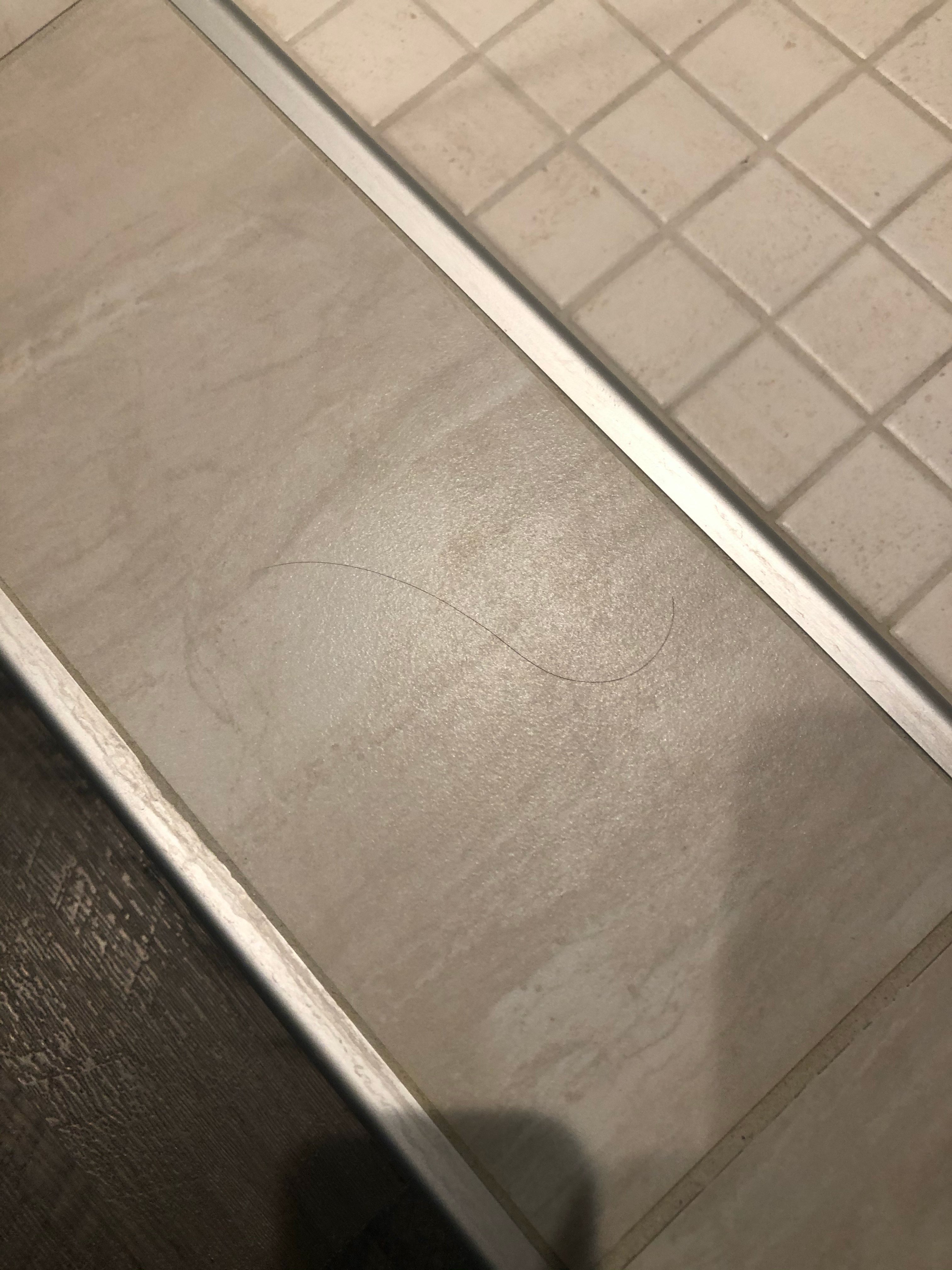 Cambria Hotel College Park-浴室