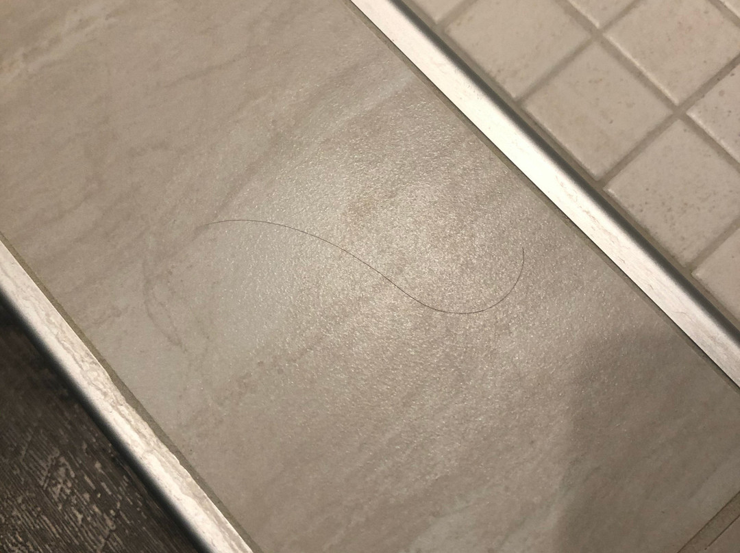 Cambria Hotel College Park主图