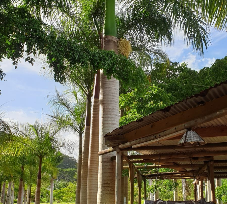 CHAZAL ecotourisme-Chamouny必去景点
