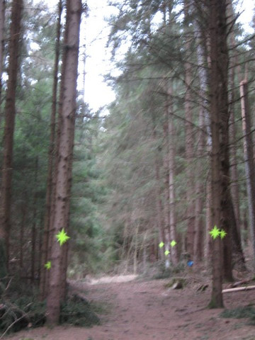 Presepi Nel Bosco-Ziano di Fiemme必去景点