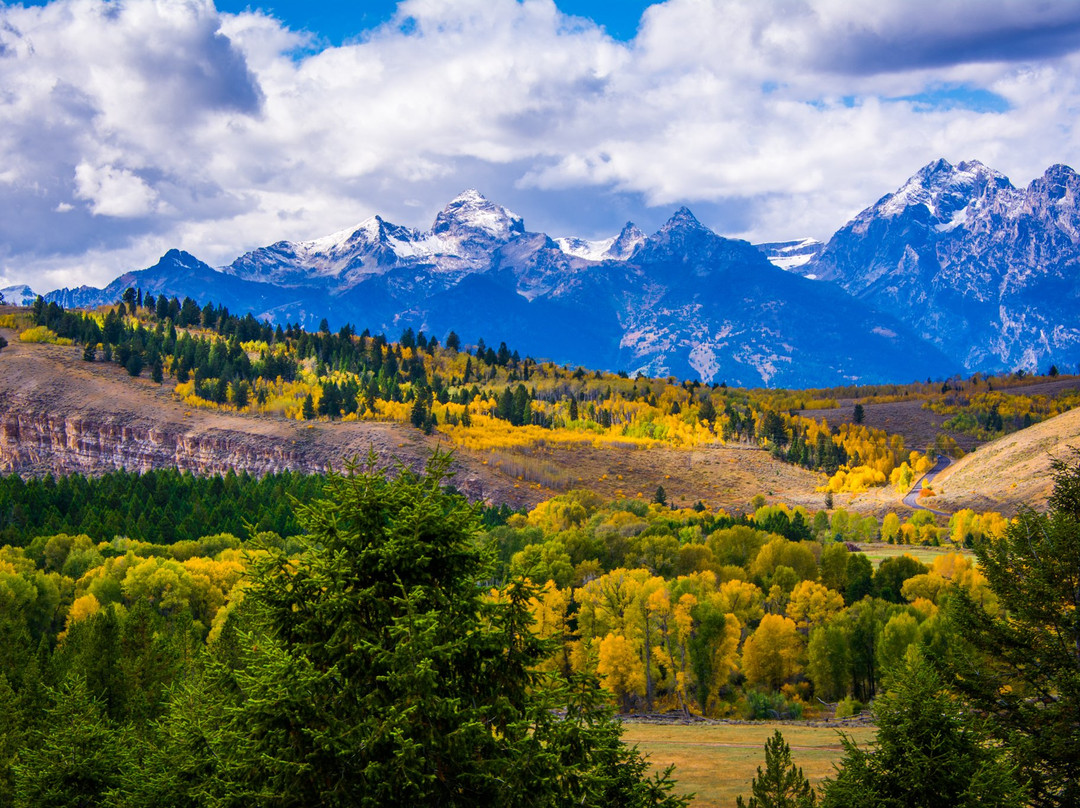 Swan Valley Tours-天鹅谷必去景点
