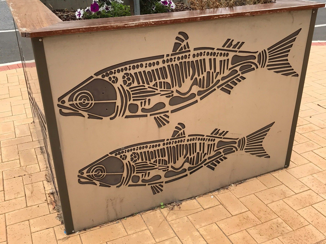 Meningie Lions Jubilee Park-Meningie必去景点